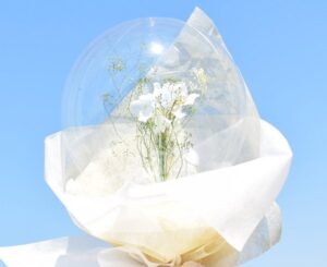 Διάφανο Bubble Μπαλόνι (10 τεμ) - Image 2