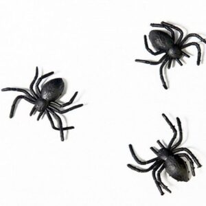 Μαύρες πλαστικές Αράχνες (10 τεμ)