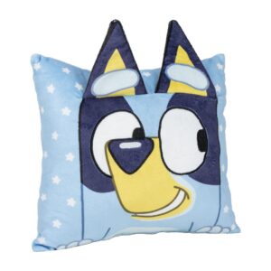 Μαξιλάρι Bluey 3D
