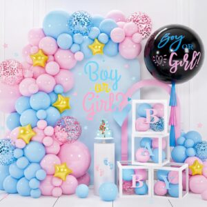 Gender Reveal