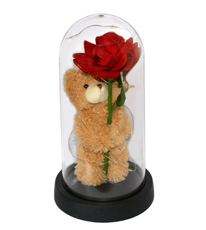 Αρκουδάκι με Τριαντάφυλλo σε Γυάλα