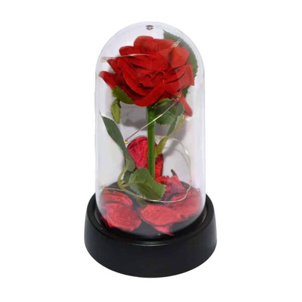 Τριαντάφυλλo σε Καμπάνα