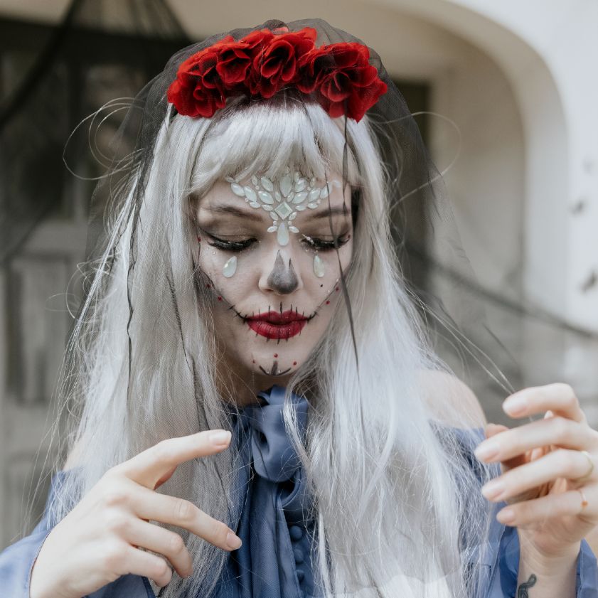 Ασημί μακριά Περούκα - Image 2