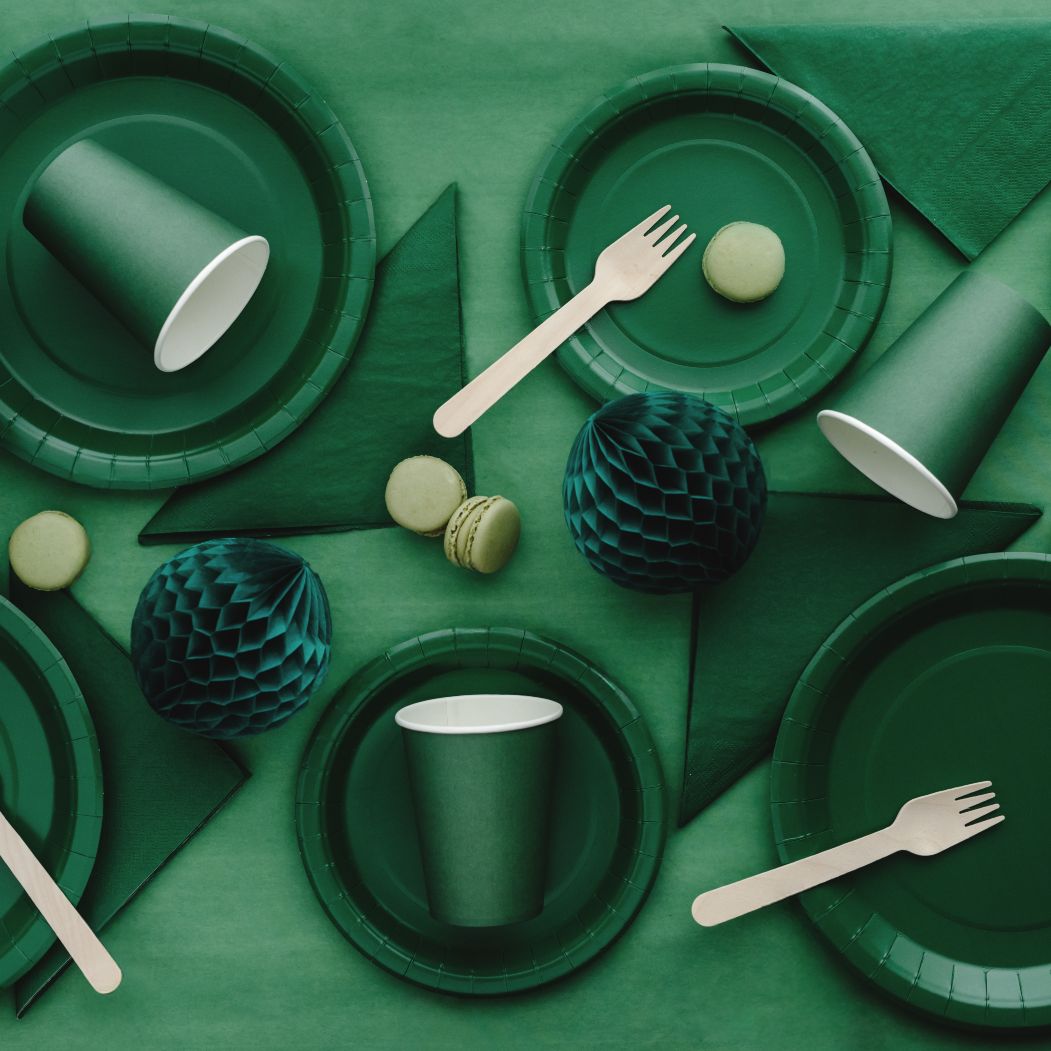 Χάρτινα Πιάτα φαγητού - Πράσινο (6 τεμ) - Image 2